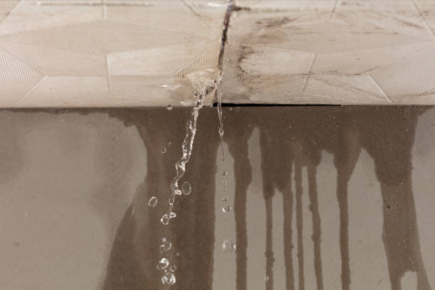Professional Structural Drying technician working in Leonard, TX